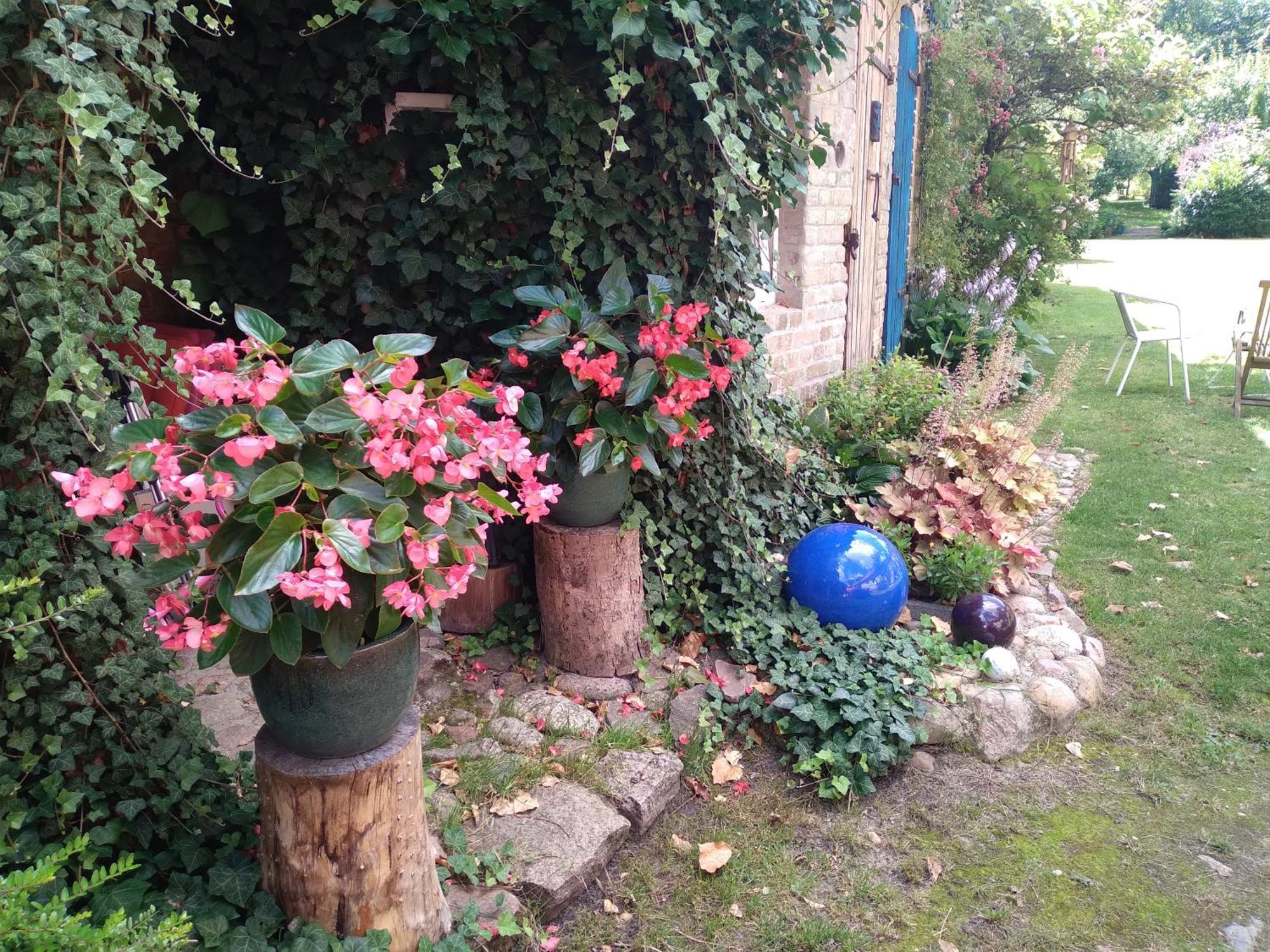 Dom Sztuk - House Of Arts Daire Międzyrzecz Dış mekan fotoğraf